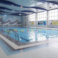 بلیت نیم بها استخر خلیج فارس