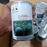 فروش بذر هندوانه میکادو اصل ۲۰۲۵