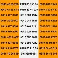 0919.256.8490|سیمکارت|مشهد, حرم مطهر رضوی|دیوار