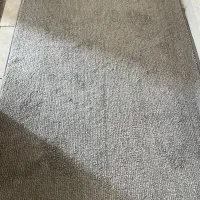 پالاز موکت