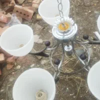 لوستر پنج شاخه کارکرده دو عدد