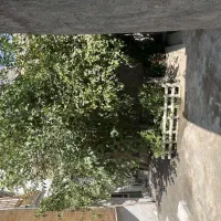 باغچه سند دار در جاغرق 13