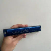 ساز دهنی سالم