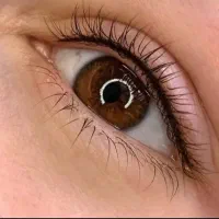 میکرو بلیدینگ و آرایش دائم هدیه روز زن|خدمات آرایشگری و زیبایی|ورامین, ورامین|دیوار