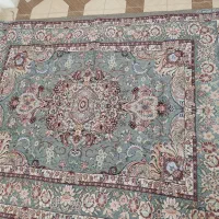 غاز|پرنده|سرپل ذهاب, |دیوار