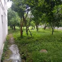 فروش-خونه-باغ