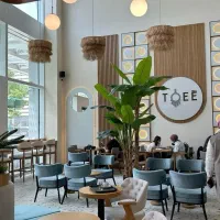 واگذاری کافه لوکس فرشته  ۲۵۰ متر با ویوی کم‌نظیر