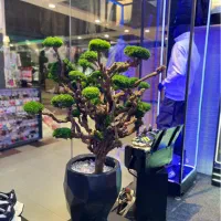 اجاره مغازه تجاری در تیراژه