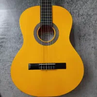 گیتار Arvana مدلa5