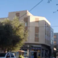 همخونه-خانم