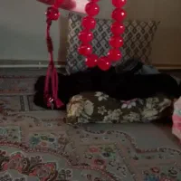 تسبیح|جواهرات|اندیشه, اندیشه فاز ۲|دیوار