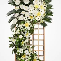 گلفروشی آنلاین وحضوری نیهان|گل و گیاه طبیعی|پاکدشت, پاکدشت (مامازند)|دیوار