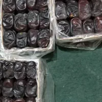 خرما مضافتی|خوردنی و آشامیدنی|ریگان, |دیوار