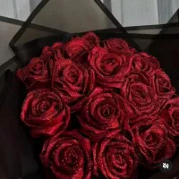 گل های جاودان|گل و گیاه طبیعی|سهند, |دیوار