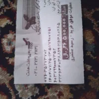 کاپشن نو نو|لباس|بندرعباس, |دیوار