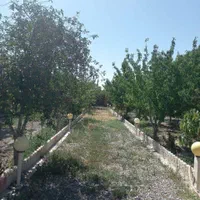 باغ ویلا 1000 متری با سند ملکی در یاس|فروش خانه و ویلا|چناران, |دیوار