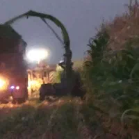 بذر گندم آبی و جو دیم