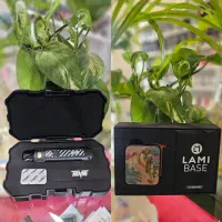 انواع ویپ های دائمی و یک بار مصرف