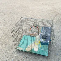 قفس پرنده|لوازم جانبی حیوانات|پاکدشت, شهرک امام رضا|دیوار