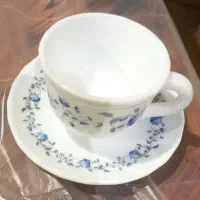 فنجان نعلبکی آرکوپال شش نفره و میوه خوری سوگا ژاپن