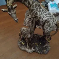 دکوری سرامیکی