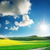 خدمات چمن زنی با دستگاه علف زن و روتوری