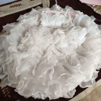 تور ولباس مجلسی دخترانه|کفش و لباس بچه|شیراز, نصر|دیوار
