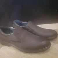 کفش ساکو