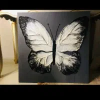 تابلو های دست ساز  هنری|صنایع دستی و سایر لوازم تزئینی|مشهد, رضاشهر|دیوار