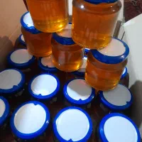 عسل تغذیه به صورت تناژ