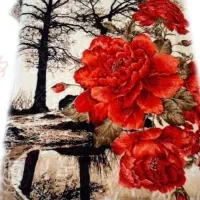 پتو یک نفره   پتو دونفره  شادیلون