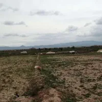 زمین متراژ بالا اطراف سبزوار کلاته آقازاده