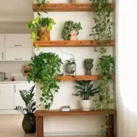 شلف و طبقات چوبی