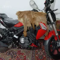 benely180s|موتورسیکلت|کنگاور, |دیوار