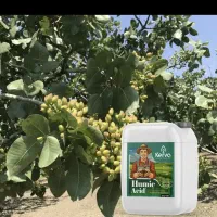 هیومیک اسید(بذرمال)رفع زردی افزایش تناژ گندم