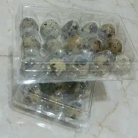 تخم بلدرچین