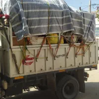 حمل بار به تمام نقاط کشور (باری و کمپرسی)|خدمات حمل و نقل|تایباد, |دیوار