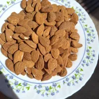 خرید وفروش بادام و مغز بادام|خوردنی و آشامیدنی|شیراز, گلستان|دیوار