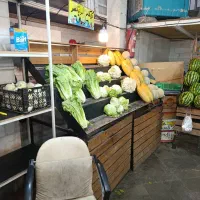 پالت میوه فروشی و سایبان درجه۱|فروشگاه و مغازه|تهران, نیروی هوایی (پیروزی)|دیوار