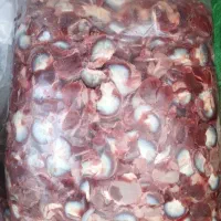 فروش سنگدان درجه یک شرکتی