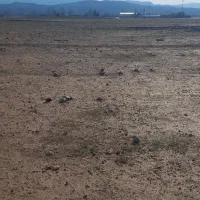 زمین|فروش زمین و ملک کلنگی|چگنی, |دیوار