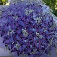 دسته گل روبانی دسته گل پروانه ای دسته گل عروسکی