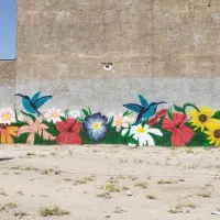 استخدام نقاش دیواری سالانه. چندین سال ادامه دار|استخدام هنری و رسانه|قرچک, شهرک طلائیه|دیوار