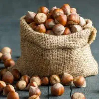 پخش نهال فندق بارسلونا لیبل دار