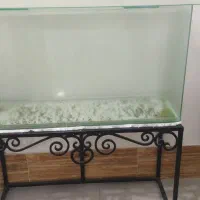 اکواریوم شیشه خم|ماهی|خرمشهر, |دیوار