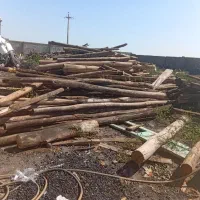 درخت و چوب شما را به روز|خدمات باغبانی و درختکاری|اردبیل, |دیوار