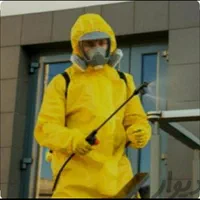 سمپاشی و موریانه زدایی به صورت اصولی و حرفه ای