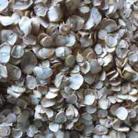 موسیر اعلای همدان|خوردنی و آشامیدنی|ری, علایین|دیوار