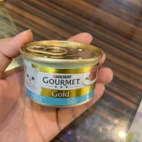 گورمت تشویقی مدادی و بستنی گربه