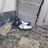 کفتر|پرنده|شیراز, فرودگاه شهید دستغیب شیراز|دیوار